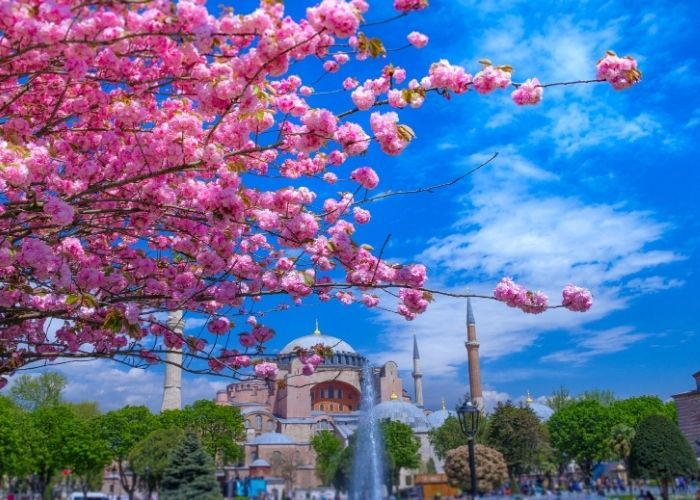 Tavasz Isztambulban 2026: Teljes útmutató az időjáráshoz, eseményekhez és a Tulipánfesztiválhoz